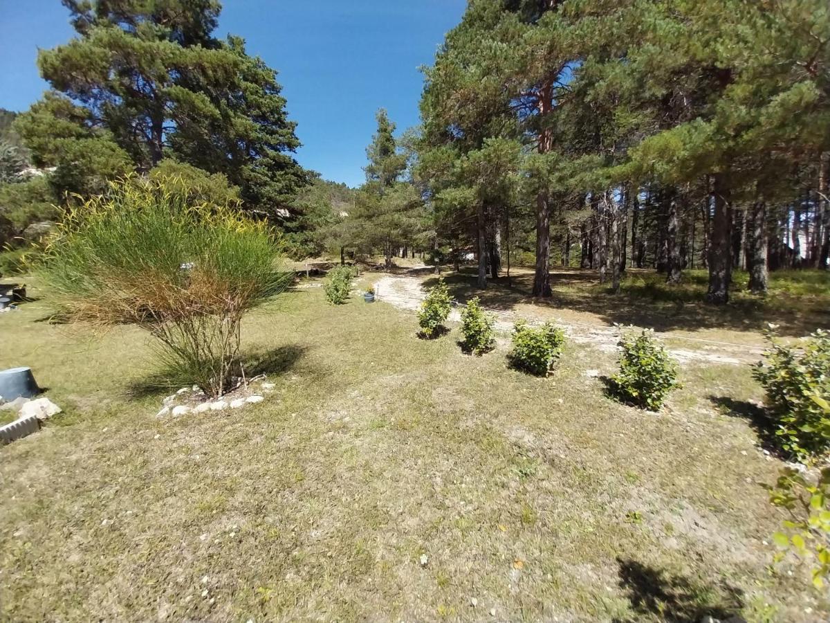 Petit Studio Dans La Prairie Saint-Auban  Kültér fotó