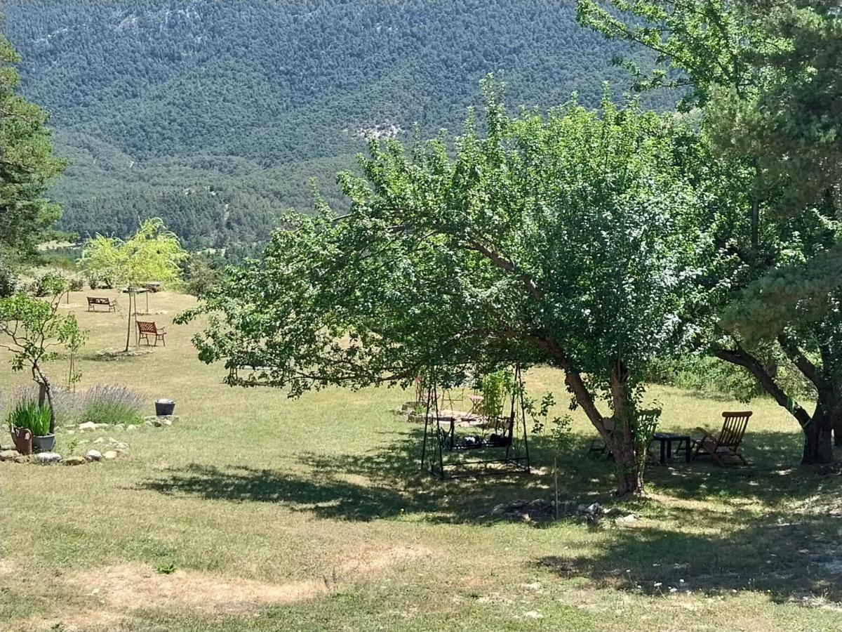 Petit Studio Dans La Prairie Saint-Auban  Kültér fotó